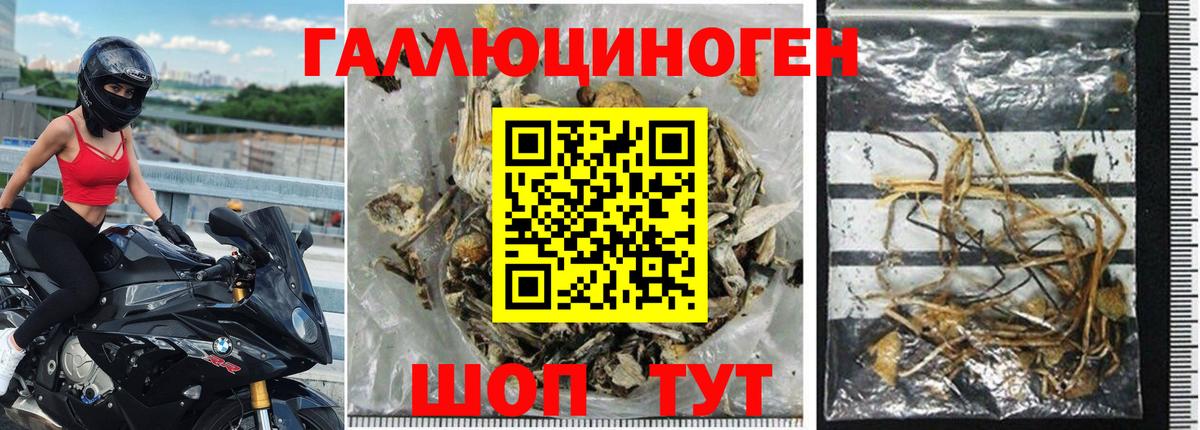 Галлюциногенные грибы Magic Shrooms Мценск