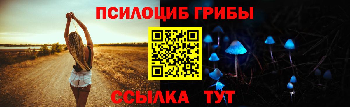 Мценск  Галлюциногенные грибы ЛСД  Вход с VPN 